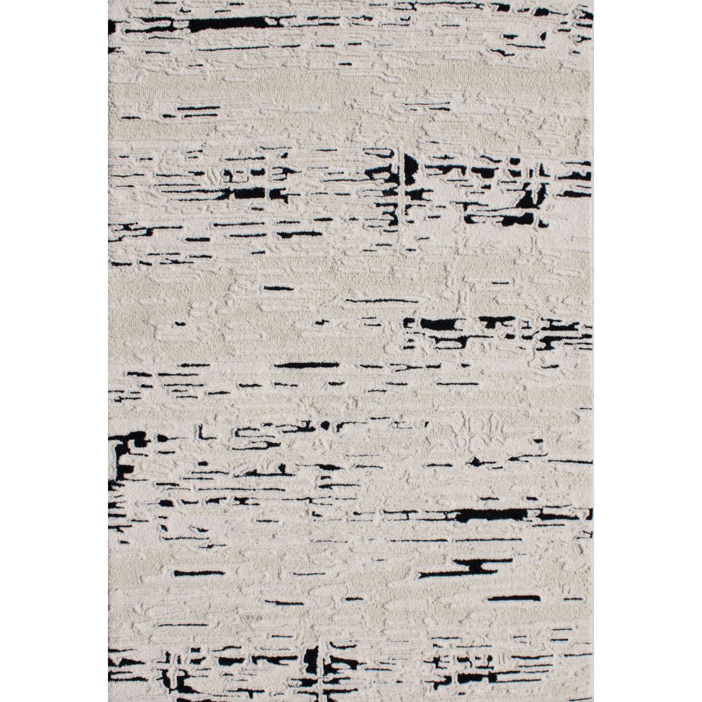 Dynamic Rugs 5480-910 Trono 5 Ft. X 8 Ft. Rectangle Rug in Black/White